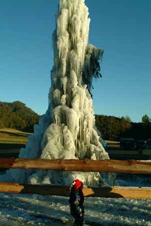 225 winter,ice,frotzen tree, child